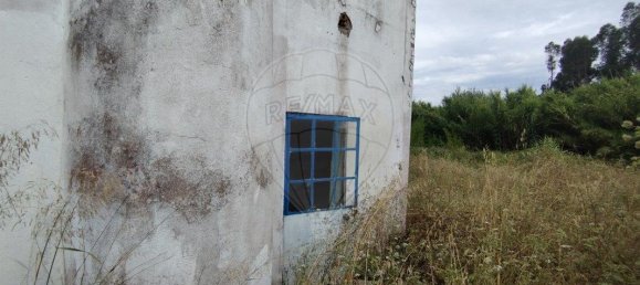 4 غرف نوم منزل في Asseiceira, Portugal رقم 187170 12