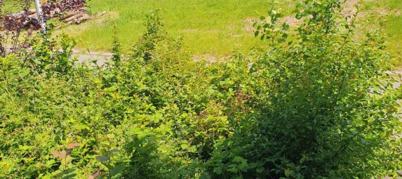 Casa de 7 dormitorios en Miltenberg, Germany No. 217695 11