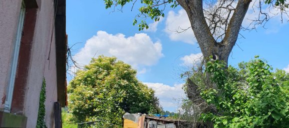 Casa de 7 dormitorios en Miltenberg, Germany No. 217695 10