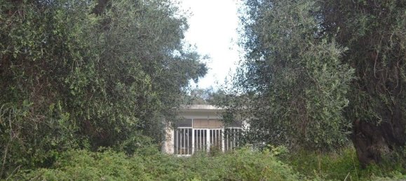  عقار تجاري في Corfu, Greece 90متر مربع رقم 6565 2