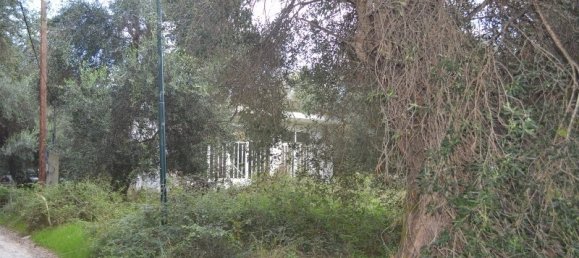  عقار تجاري في Corfu, Greece 90متر مربع رقم 6565 3