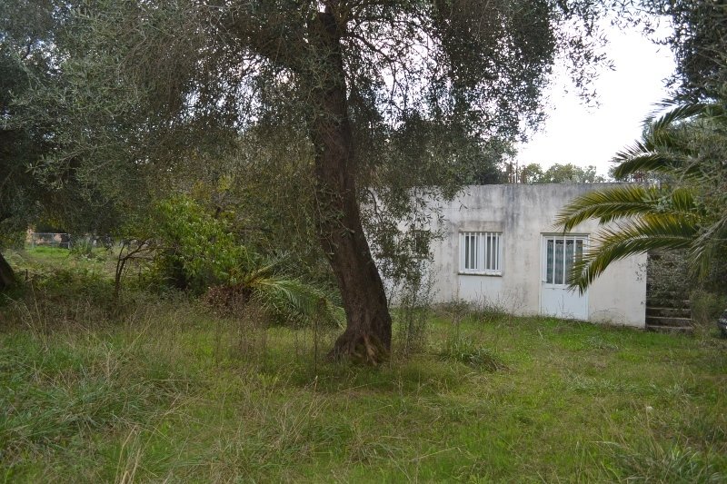 عقار تجاري في Corfu, Greece 90متر مربع رقم 6565