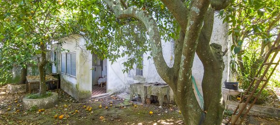 Дом с 4 спальнями в Крату, Португалия № 23905 28