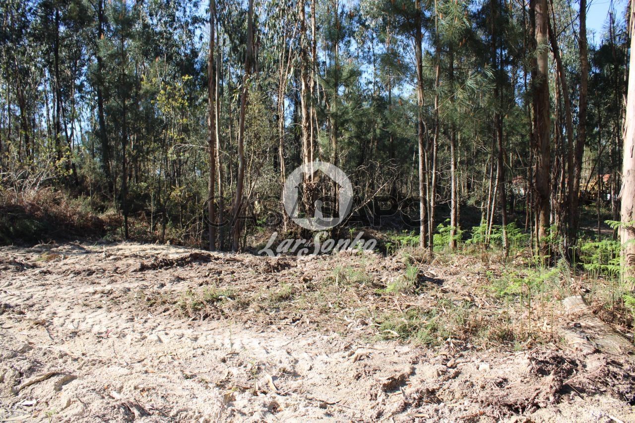Terreno en Alvelos, Portugal No. 325997