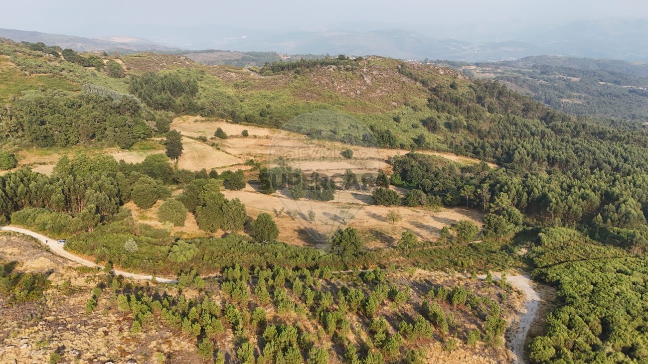 Grundstück in Rio Douro, Portugal, Nr. 350778