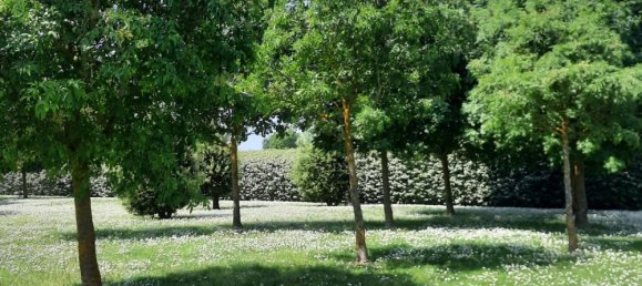 7 Schlafzimmer Villa in Ravenna, Italy, Nr. 311511 11