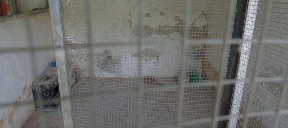 Villa de 4 dormitorios en Benijófar, Spain No. 176619 45