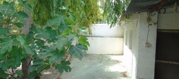 Villa de 4 dormitorios en Benijófar, Spain No. 176619 46