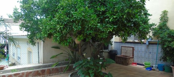 Villa de 4 dormitorios en Benijófar, Spain No. 176619 33