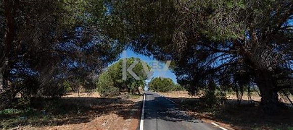 Земельный участок 6471м² в Лоле, Португалия № 38720 12