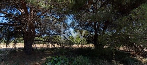 Земельный участок 6471м² в Лоле, Португалия № 38720 13