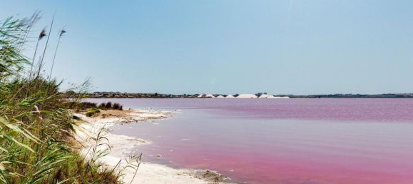 2 غرف نوم منزل ذو طابقين في Torrevieja, Spain رقم 179557 40