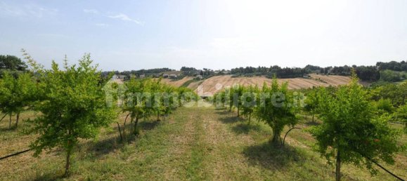 3 Schlafzimmer Villa in Senigallia, Italy, Nr. 176928 50