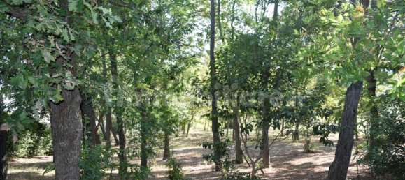 3 Schlafzimmer Villa in Senigallia, Italy, Nr. 176928 17