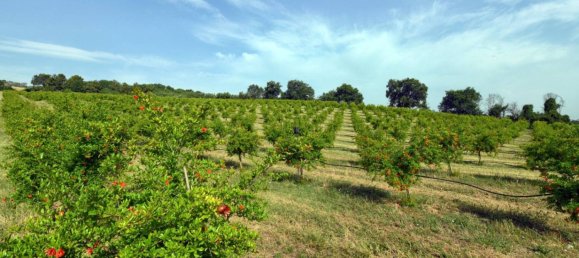 3 Schlafzimmer Villa in Senigallia, Italy, Nr. 176928 48