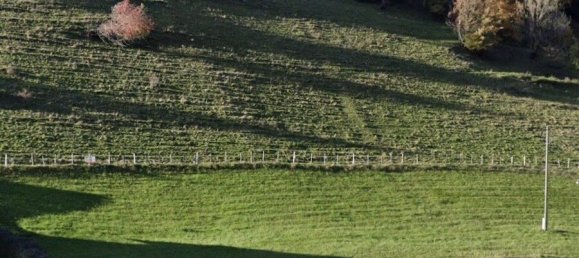  Land in Reichenau, Austria No. 128819 3