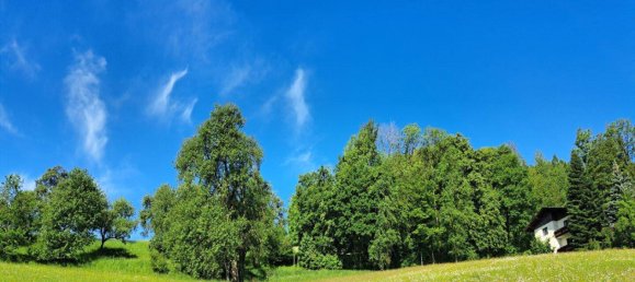 Grundstück in Bad Schallerbach, Austria 6395m², Nr. 85939 4