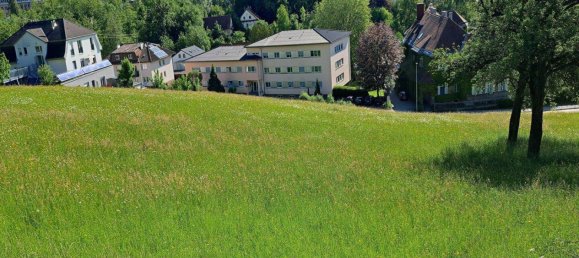 Grundstück in Bad Schallerbach, Austria 6395m², Nr. 85939 2