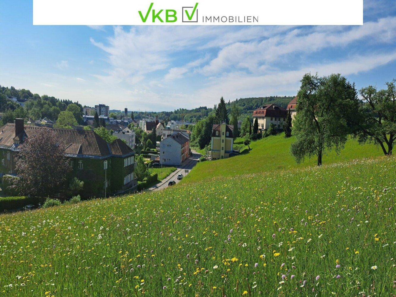 Grundstück in Bad Schallerbach, Austria 6395m², Nr. 85939