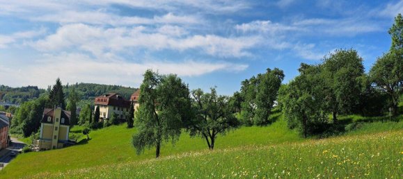 Grundstück in Bad Schallerbach, Austria 6395m², Nr. 85939 3