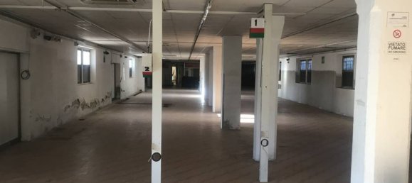 عقار تجاري في Udine, Italy 1500متر مربع رقم 311754 13