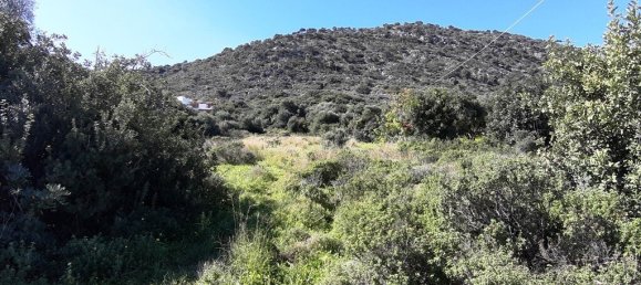 24000m² Hotel in Malia, Greece No. 51994 6