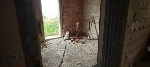 5 chambres Villa à Messina, Italy No. 73910 14