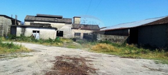 1 Schlafzimmer Haus in Sao Pedro da Torre, Portugal, Nr. 23266 4