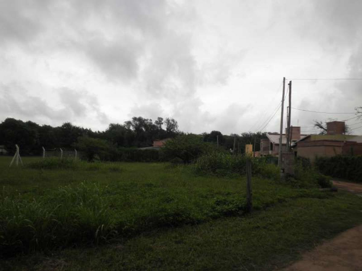  Land in Cordoba, Argentina No. 44474