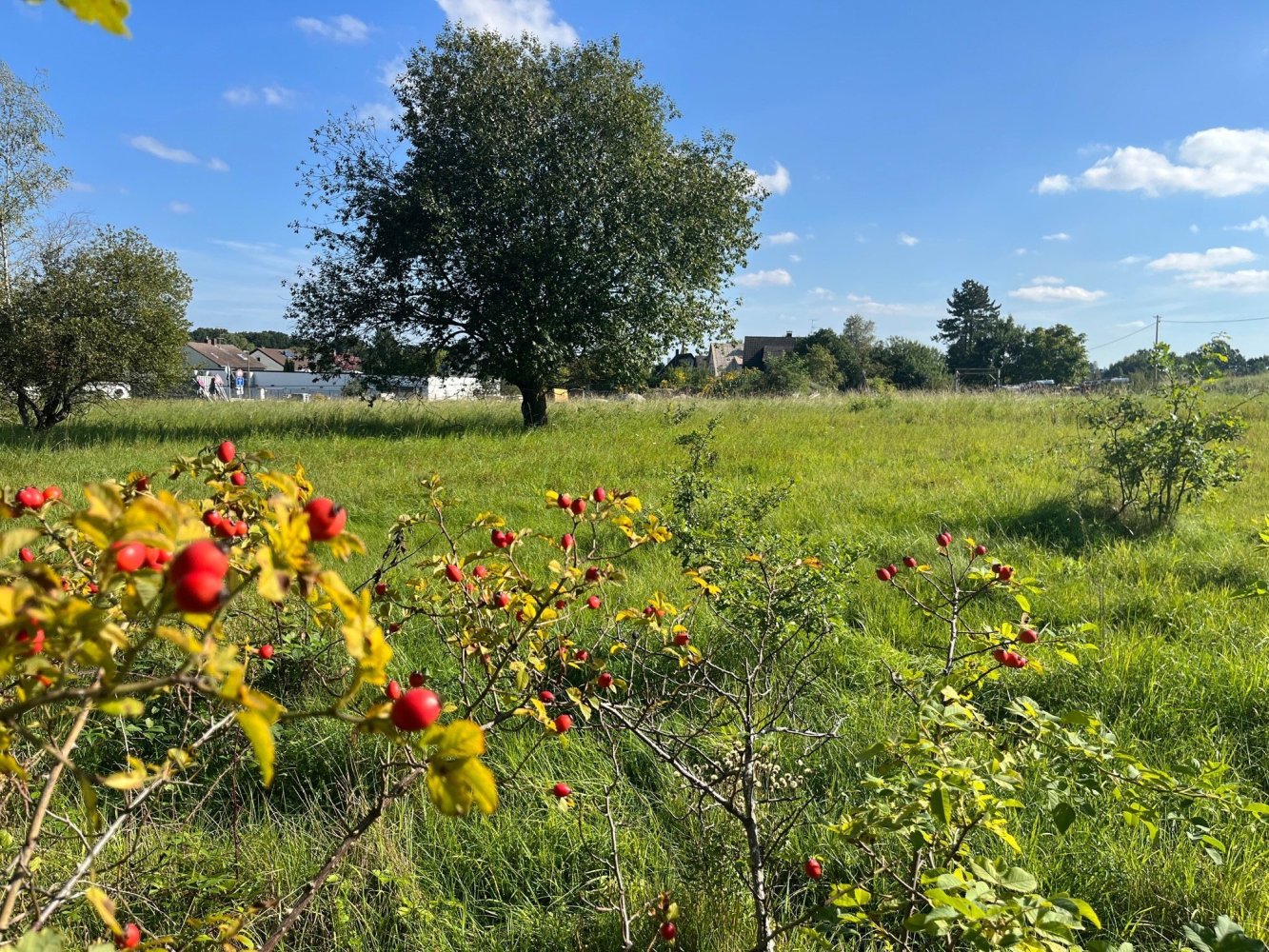Terreno em Erlangen-Hochstadt, Germany N.º 186254