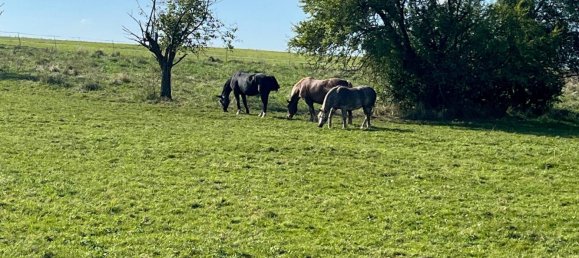 Terreno em Erlangen-Hochstadt, Germany N.º 186254 3