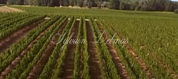 Замки и поместья с 20 комнатами в Кюбнезе, Франция № 107242 9