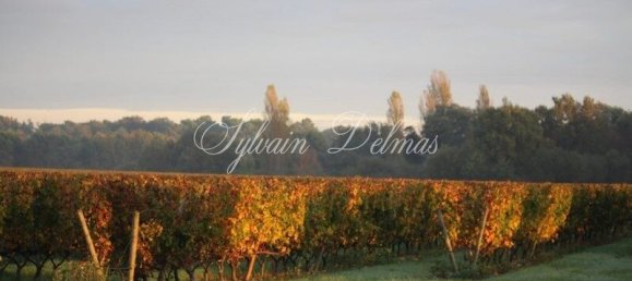 Замки и поместья с 20 комнатами в Кюбнезе, Франция № 107242 13