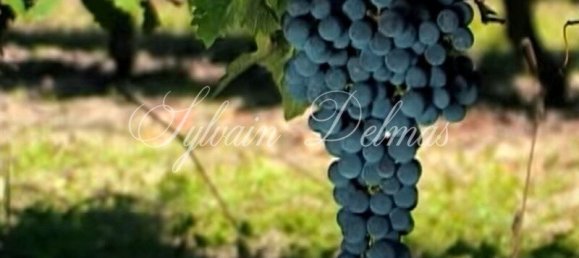 Замки и поместья с 20 комнатами в Кюбнезе, Франция № 107242 8