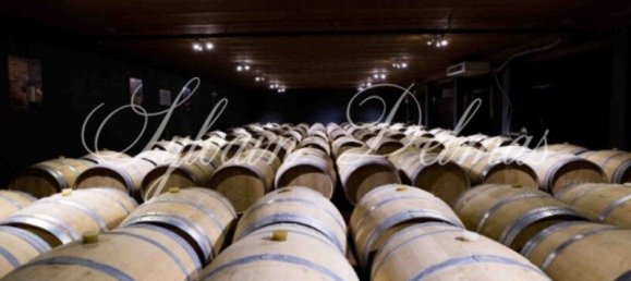 Замки и поместья с 20 комнатами в Кюбнезе, Франция № 107242 12