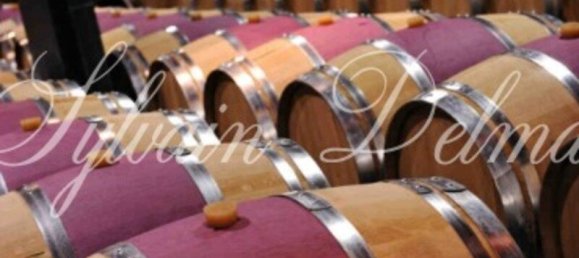 Замки и поместья с 20 комнатами в Кюбнезе, Франция № 107242 14