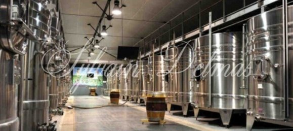 Замки и поместья с 20 комнатами в Кюбнезе, Франция № 107242 15