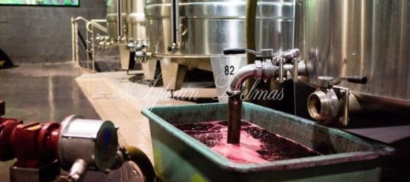 Замки и поместья с 20 комнатами в Кюбнезе, Франция № 107242 4