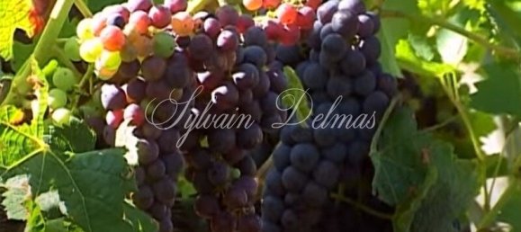 Замки и поместья с 20 комнатами в Кюбнезе, Франция № 107242 10