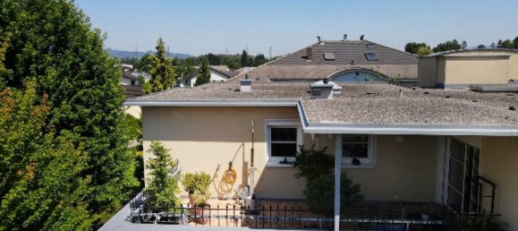 4-Zimmer Wohnung in Altach, Austria, Nr. 166541 7