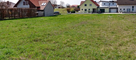 787m² Land in Neusiedl am See, Austria No. 165306 4