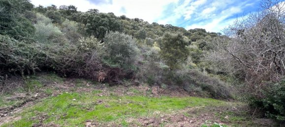 92737m² Land in Sant'Antonio di Gallura, Italy No. 117507 17