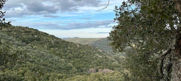 92737m² Land in Sant'Antonio di Gallura, Italy No. 117507 24