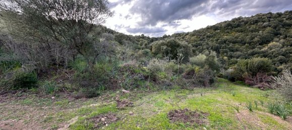 92737m² Land in Sant'Antonio di Gallura, Italy No. 117507 13