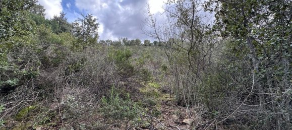 92737m² Land in Sant'Antonio di Gallura, Italy No. 117507 2
