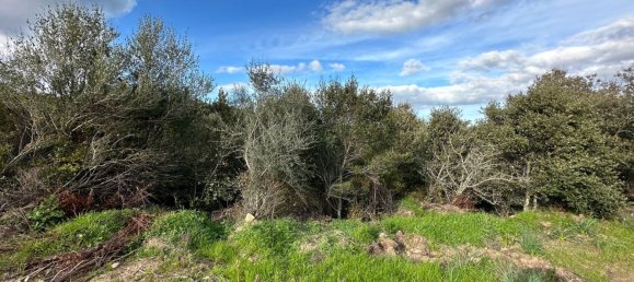 92737m² Land in Sant'Antonio di Gallura, Italy No. 117507 4