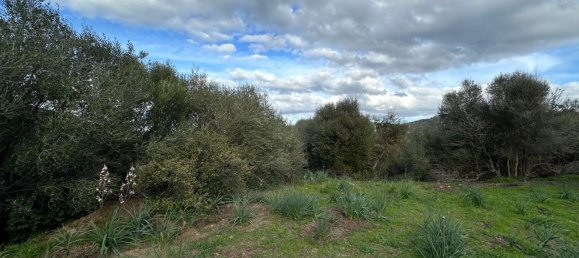 92737m² Land in Sant'Antonio di Gallura, Italy No. 117507 35