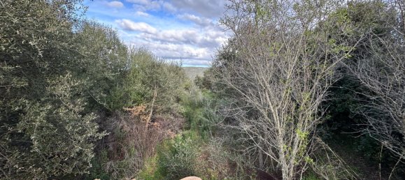 92737m² Land in Sant'Antonio di Gallura, Italy No. 117507 28