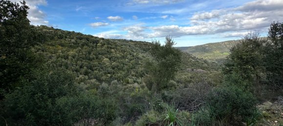 92737m² Land in Sant'Antonio di Gallura, Italy No. 117507 3