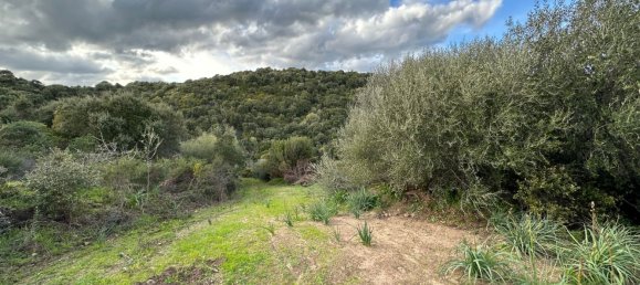 92737m² Land in Sant'Antonio di Gallura, Italy No. 117507 27